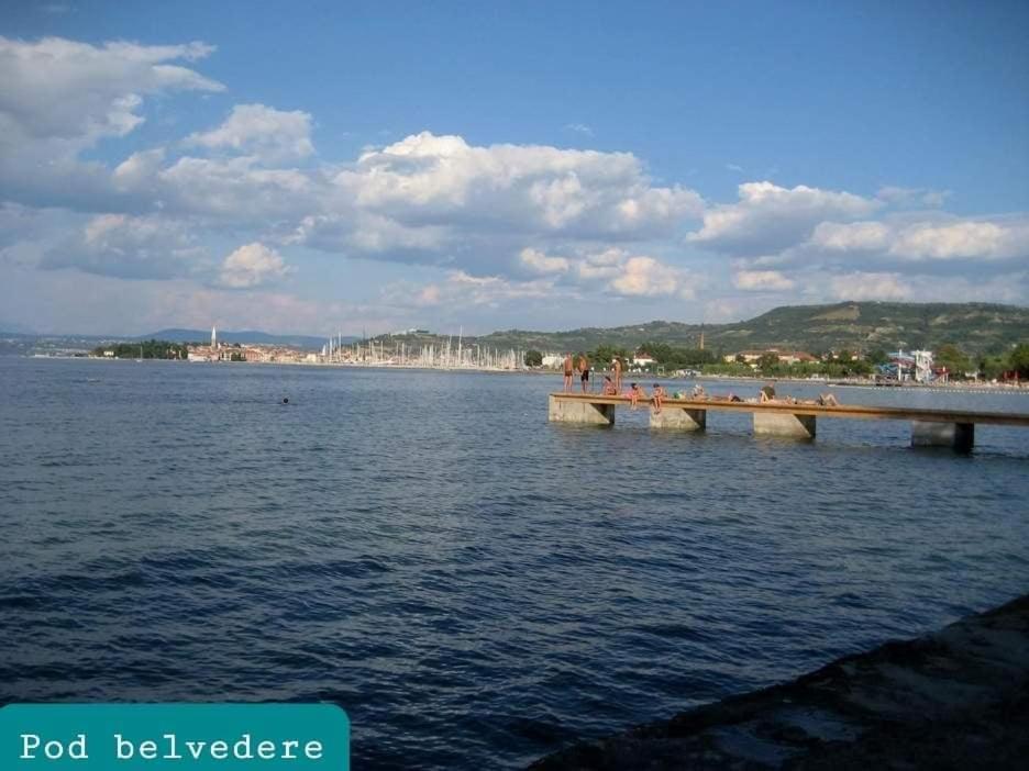 Apartmaji Soncek