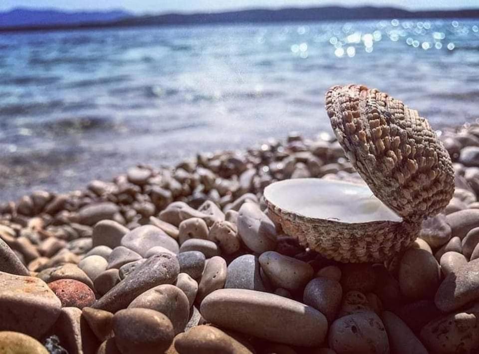 Apartmaji Soncek * Izola